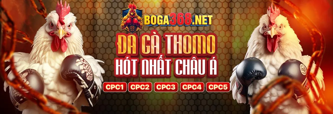 Biểu đồ thông tin về các mẹo và chiến thuật cá cược đá gà hiệu quả