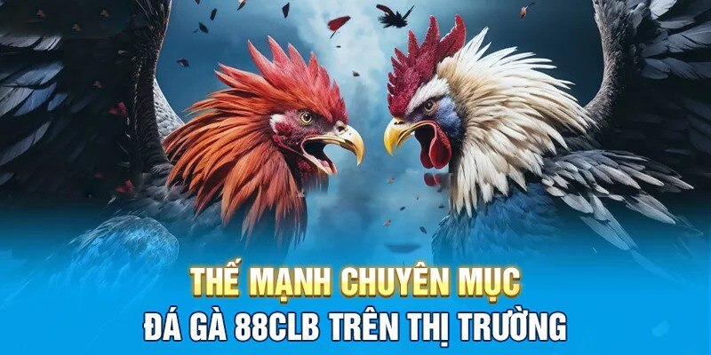 Điểm nổi bật khi tham gia đá gà 88CLB