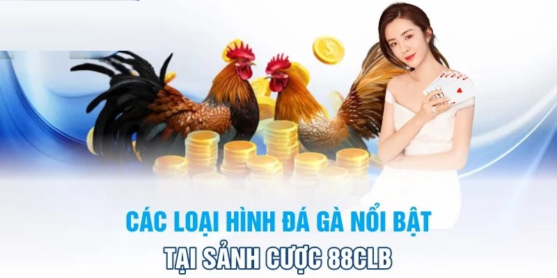 Tổng hợp các hình thức cược đá gà 88CLB